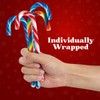 Christmas Candy Canes Tutti Frutti, Blue/White Peppermint, Red and White