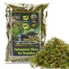 Sukh Sphagnum Moss for Reptiles -Terrarium Moss for Reptiles Peat