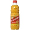 Maguary Passion Fruit Juice Concentrate - 16.9 FL.Oz - Suco