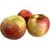 Home-Growth Extra sweet, crispy Envy Apple - 10 Seeds 2024