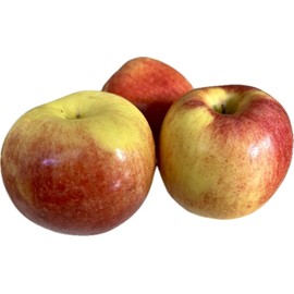 Home-Growth Extra sweet, crispy Envy Apple - 10 Seeds 2024 - USA