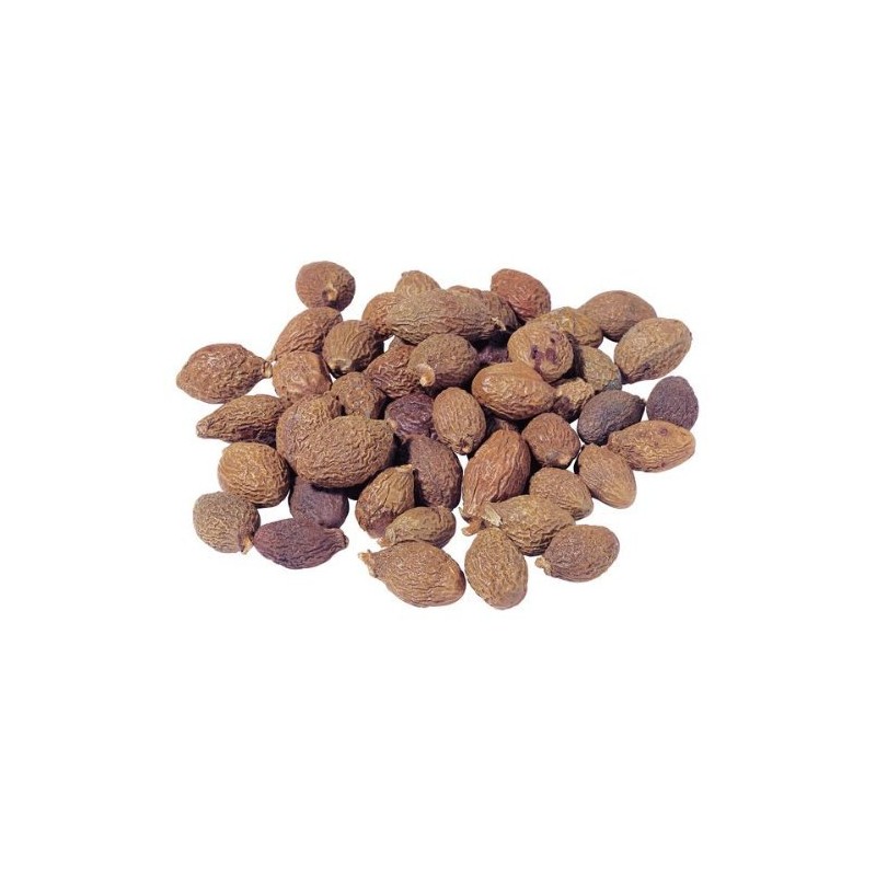 Greenhilltea, Malva Nut Dried Sterculia Lychnophora, Dried Pangdahai胖大海, Caffeine free