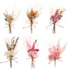 Heyu-Lotus 6 Bundles Mini Dried Bouquet, Dried Flowers for Crafts,