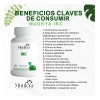 Vitamina C Equinácea Jengibre Y Zinc 60 Cápsulas Vidanat Sabor