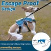 BELPRO Multi-Use Support Dog Harness, Escape Proof No Pull Reflective