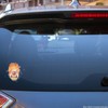 Enigma Design Company Heat Miser White Vinyl Nontransparent Decal Sticker