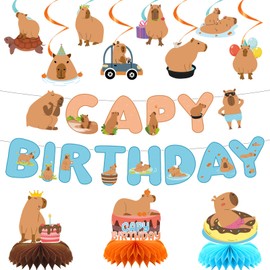 Rakuto Capybara Birthday Party Decorations - 13PCS Capybara Banners with Hanging Swirls Bday Decoration Cute Capy Honeycomb Centerpieces Supplies