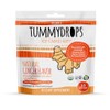 Tummydrops, Natural Ginger, 30 Drops
