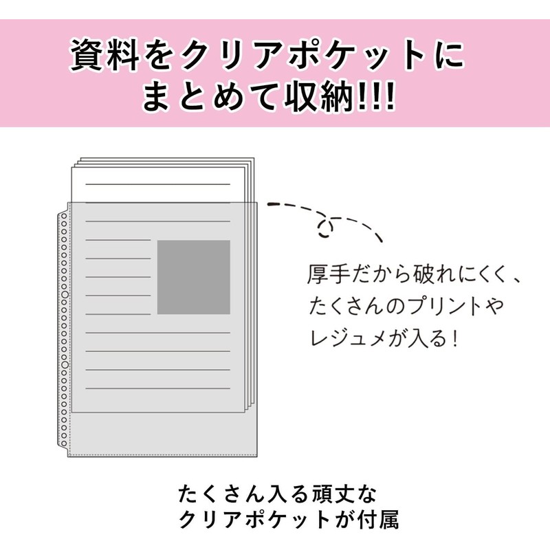 Maruman F310-52 Loose Leaf Binder B5 Session 26 Hole Light