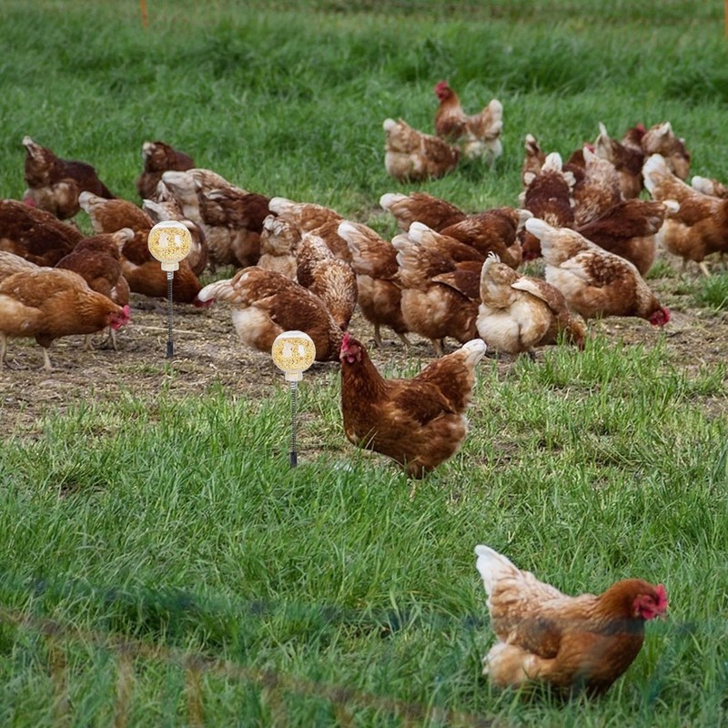 2-Pack Chicken Feeder, Chicken Toys for Hens with Spring and