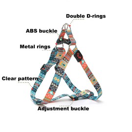 Dog Harness and Leash Set, Pretty Pattern No-Pull Pet Halter Puppy Vest Outdoor Easy Walk for Small Medium Large Breed Pug Bully Mastiff Dogs Female Male, Ethnic M