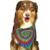 Green Rainbow Yellow Blue Rose Red Tie Dye Dog Bandana