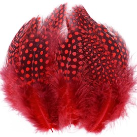 100pcs Red Spotted Feathers Guinea Pheasant Feather 3-6 Inches for Crafts Dream Catcher Jewelry Decoration, Colored Turkey Chicken Plume Feathers