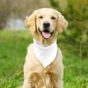 ICEMOOD Solid Color Dog Scarf - Adjustable Snap Button Cotton
