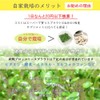 Broccoli Sprout Seeds, 30.5 fl oz (900 ml) (Seeds Only),