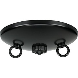 Satco 90-195 Swag Canopy Kit, Color