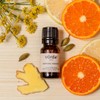  Vorda Morning Harvest, 100% Pure Essential Oil Blend, Sweet
