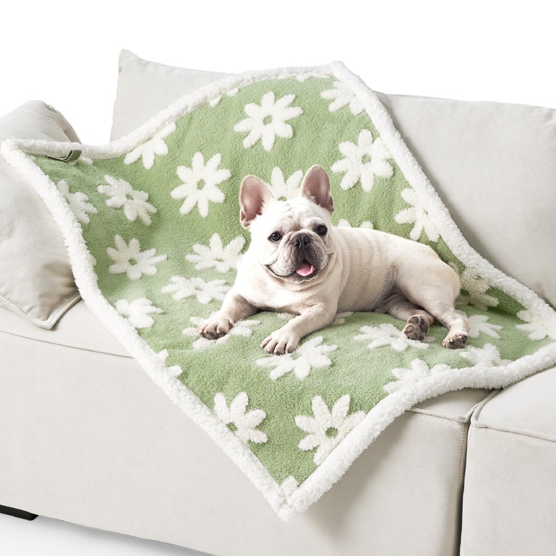 LE SURE Waterproof Dog Blanket for Medium Dogs - Washable