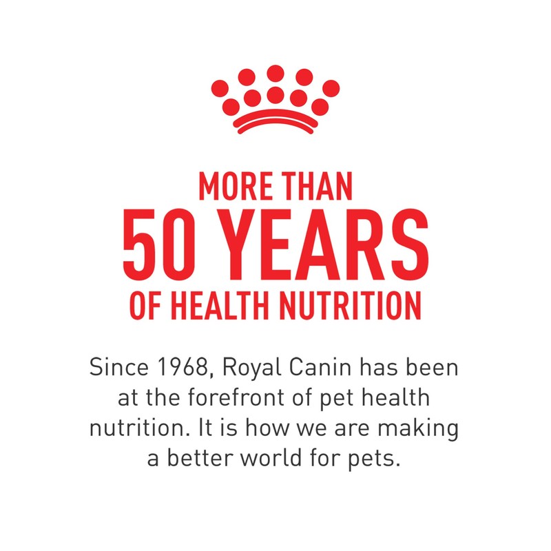 Royal Canin Breed Health Nutrition Pomeranian Adult Dry Dog Food,