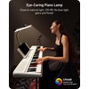Glendan Piano Lights for Digital Piano and Grand Piano, Professional