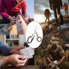 Rescue Scissors, Trauma Scissors, 6-in-1 Foldable Trauma Scissors, Emergency Scissors,