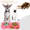 Vivaglory Dog Bowls Stainless Steel Water and Food Puppy Cat