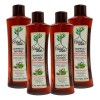 Tratamiento Shampoo Anticaída Árbol Verde 4pzs Romero Sábila