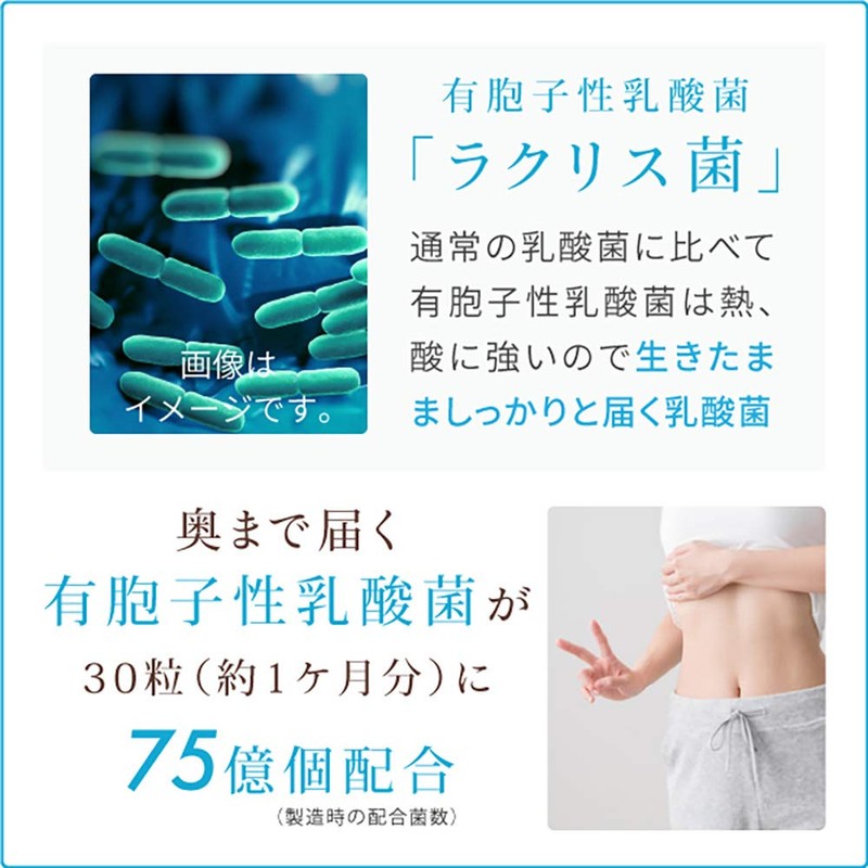 nichie 有胞子性乳酸菌 ビフィズス菌 乳酸菌生成物質 酵素 ソフトカプセル 約3ヶ月分(90粒)