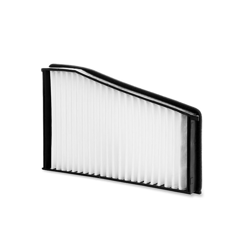 RIDEX 424I0173 Filter Interior Air Dust Filter Pollen Filter Micro