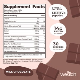 Wellah The Afterglow Multi Collagen Protein + Beauty (30 Servings, Chocolate) - Hair, Skin, Nail & Joint Support - Non-GMO & Gluten Free