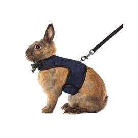 MANON ROSA Rabbit Harness and Leash Set - Adjustable Escape-Proof Training and Walking Gear for Guinea Pigs Bunnies Chinchillas Hamsters Ferrets Rats Kittens and Small Dogs Puppies Cats (Black,M)