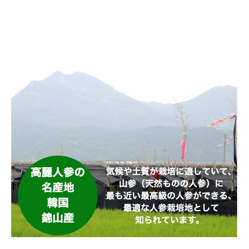 Ginseng Dried Sliced Trial 0.5 oz (15 g), Made in