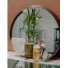 Lucky Bamboo 10 LUCKY BAMBOO PLANTS 4" Free Butterfly Stake,