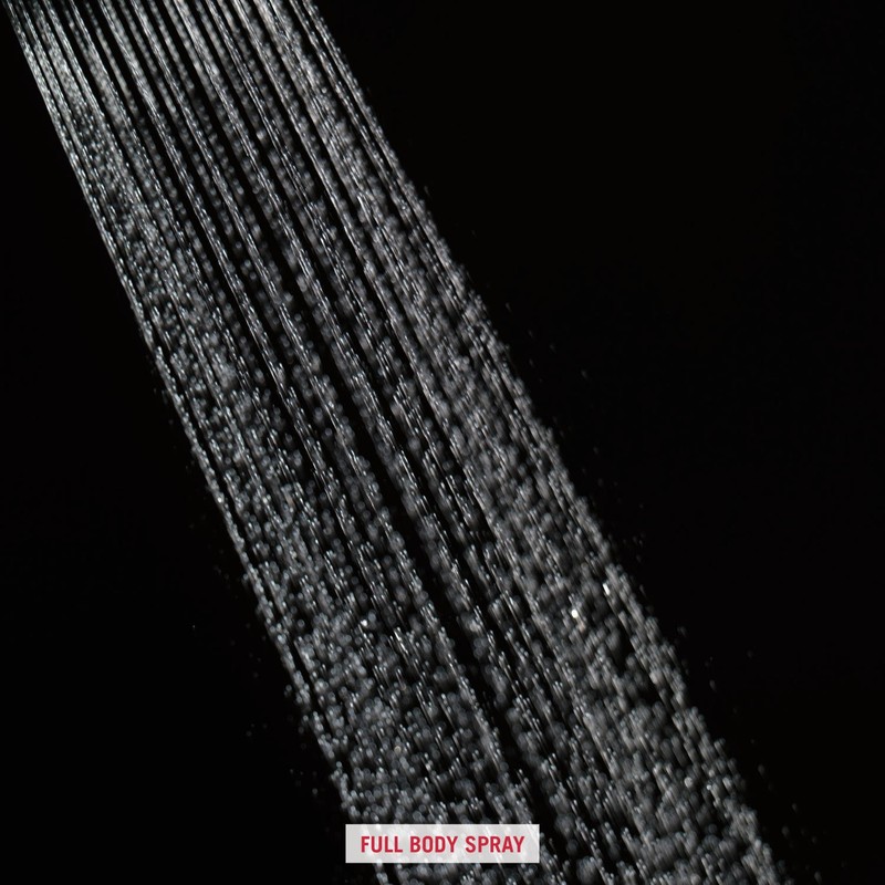 Peerless P188710 Classic Complete Shower with Combo Handles, Chrome