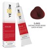 Alfaparf Group Permanent Cosmetic Colour - 5.66S Light Brown Red