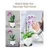 5 inch Orchid Pots with Holes for Repotting with Excellent