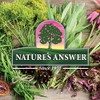 Nature's Answer | Horsetail Extract, 2 000 Mg, 1 Oz