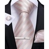 DiBanGu Men's Tie Set Silk Striped Checked Tie with Pocket