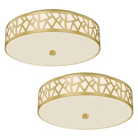 VICNIE 2 Pack Flush Mount Ceiling Light, 12 inch Gold Ceiling Light, 2-Lights Light Fixture Ceiling Mount with Frosted Glass Shade for Hallway, Kitchen, Bedroom,Foyer,Entryway