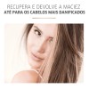 Kit Wella Fusion Intense Repair Champú Acondicionador