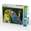 Turtelnde Wellensittiche (Puzzle)