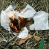 DEAD Distribuidora 3x Magnesio Pedernal Encendedor Fuego Caceria Campismo Pesca