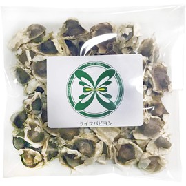 Moringa Seeds with Easy to Understand Cultivation Method, Planting Planter, Seeding Period: April - August 0.4 oz (10 g)