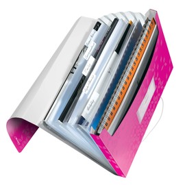 Leitz A4 Project Folder for up to 200 Sheets, 6 Compartments with Tabs for Organising the Contents, Elastic Closure