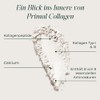 Primal Harvest Collagen Powder Hydrolysed Collagen Powder Type I &