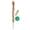25.2-Inch 2PC Double-Layered Coconut Coir Stick with Hemp Rope Eco-Friendly