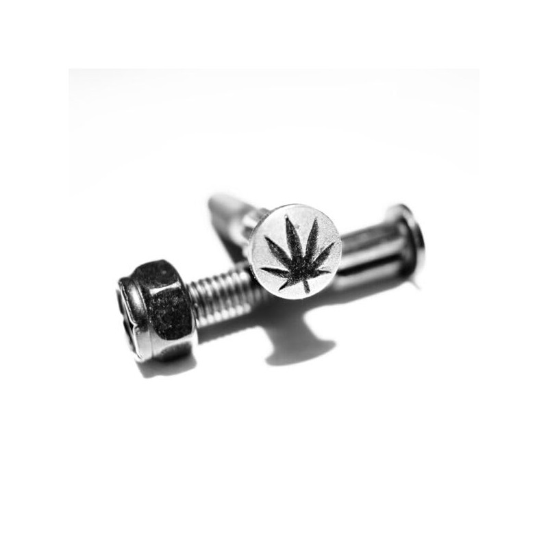 SCREW CITY Skateboard Hardware Set – 8 Bolts & 8