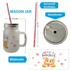 Orange Cat Mason Jar with Handle Drinking Glass with Lid with Saying "Du bist fantastisch ein niedliches Glas für dein Lieblingstrinkk Motiv süße Haustier fantastisch Damen Geburtstag" [German