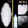 Retrowavy 30 Pcs 14-16 Inches Large Natural Ostrich Feathers Bulk