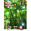 Christmas Tree Lights Outdoor Cluster Lights - 1000 LED 50